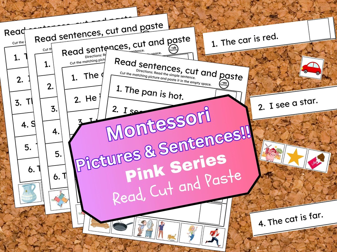 CVC Word Family Sentences – Cut and Paste Phonics Activity - Etsy