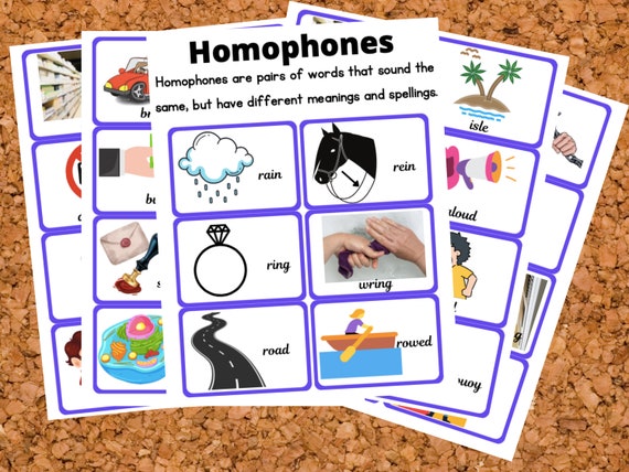homophones flashcards and worksheets etsy