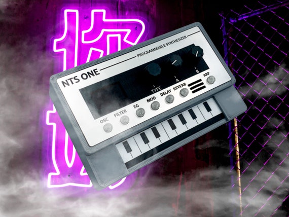 3D Printed Case for the Korg NTS-1 Synthesizer - Etsy
