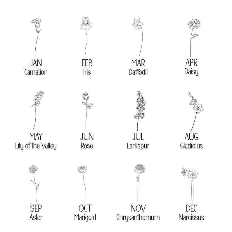May include: A black and white illustration of twelve different flowers, each representing a month of the year. The months are labeled with their corresponding flower names: Carnation, Iris, Daffodil, Daisy, Lily of the Valley, Rose, Larkspur, Gladiolus, Aster, Marigold, Chrysanthemum, and Narcissus.