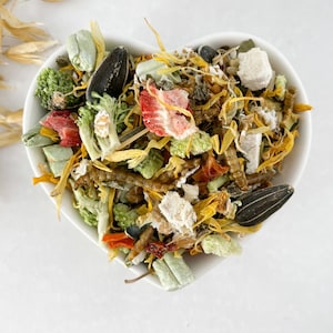 Syrian Hamster Food Mix - 100g | Juvenile - Young - Adult - Mature