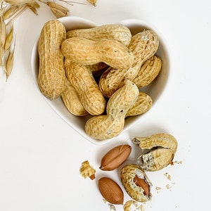 Shelled Peanuts - Jumbo, Raw, Unsalted - 50g | Suitable for Hamsters, Rats, Mice, Gerbils