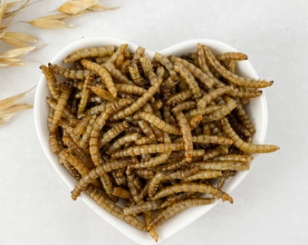 Dried Meal Worms 100g Non-GMO | Suitable for All Hamster Breeds, Birds, Amphibians, Reptiles, Fish, Chickens and more