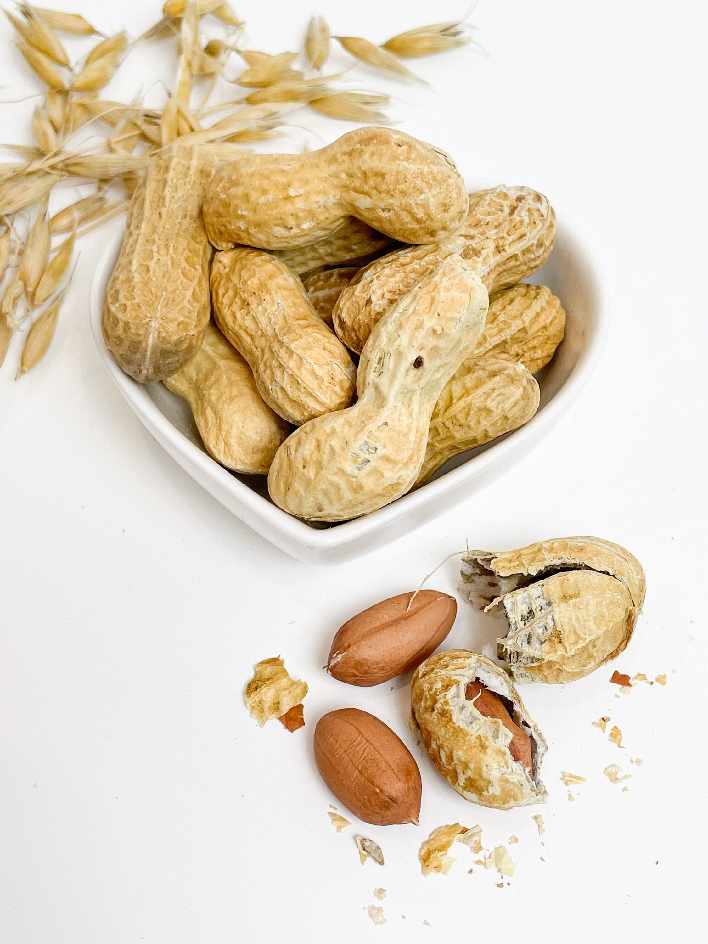 Shelled Peanuts Jumbo, Raw, Unsalted 50g Suitable for Hamsters, Rats, Mice, Gerbils Etsy