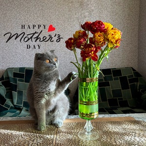 ¡Día de la Madre! - Descarga de archivos digitales - Postal ucraniana