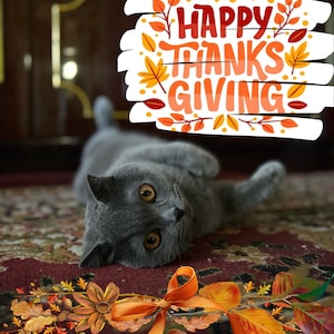 Happy Thanksgiving Day Digital Postcard Olivka Cat Pet Meadiafile File Download image 1