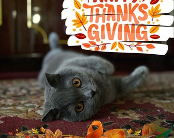 Happy Thanksgiving Day! Digital Postcard - Olivka Cat Pet - Meadiafile File Download