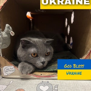 Unterstützen Sie die ukrainische Familie, ukrainische Postkarte, Solidarität mit der Ukraine, ukrainische Katze, Ukraine digitaler Download, Haustiere retten, #StandWithUkraine