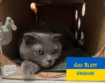 Soutien à la famille ukrainienne, carte postale ukrainienne, solidarité avec l'Ukraine, chat ukrainien, téléchargement numérique ukrainien, sauvez les animaux, #StandWithUkraine