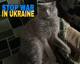 Digital file Download. Support Ukrainian family. Ukrainian Postcard. Save pet.  #StandWithUkraine. Instant Download Mediafile
