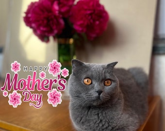 母の日 - ウクライナのポストカード - デジタル ファイルのダウンロード - 母の日