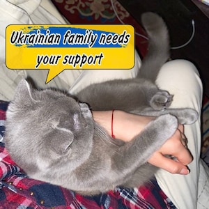 Ukrainische Postkarte. Ukrainisches Haustier. Katze Olivka. Retten Sie die Ukraine. Digitale Datei Download. Unterstützen Sie die Ukrainain Familie. #StandWithUkraine