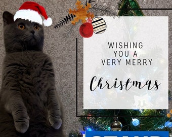 Merry Christmas - Digital File Download - Pet Cat - Ukrainian Postcard - Happy New Year