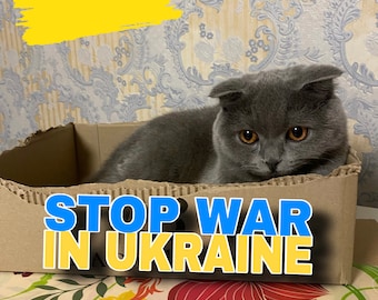 Ukrainische Katze Olivka, Stopp Krieg in der Ukraine, digitale Datei aus der Ukraine, I stand with Ukraine, ukrainische Postkarte, Ukraine Geschäfte, Blau Gelb
