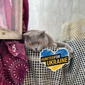 Peut inclure: Un chat gris aux yeux orange assis sur un tissu &agrave; motifs avec un autocollant en forme de c&oelig;ur qui dit "#UNITEDFORUKRAINE".