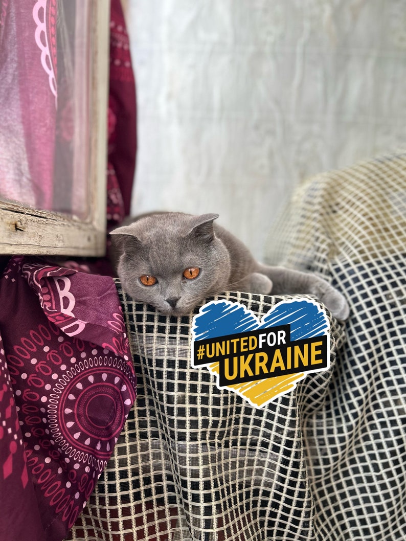 Peut inclure: Un chat gris aux yeux orange assis sur un tissu &agrave; motifs avec un autocollant en forme de c&oelig;ur qui dit "#UNITEDFORUKRAINE".