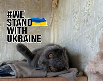 We Stand With Ukraine - Support Ukrainian Family - Save pets - Digital Download File - Ukrainian Postcard - Instant Download Mediafile