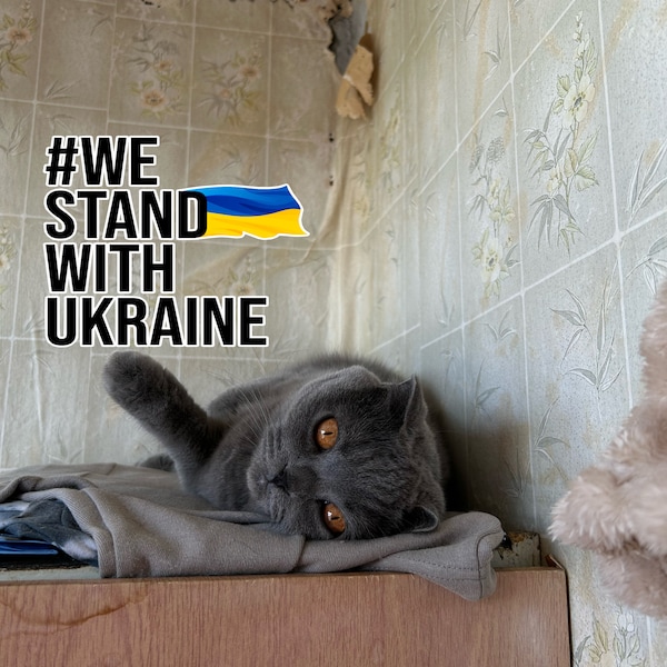 We Stand With Ukraine - Support Ukrainian Family - Save pets - Digital Download File - Ukrainian Postcard - Instant Download Mediafile