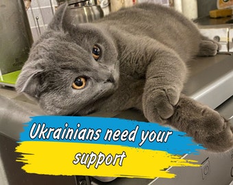 Ukrainian cat. Ukraine Digital Download File. Ukrainian postcard. Support Ukraine