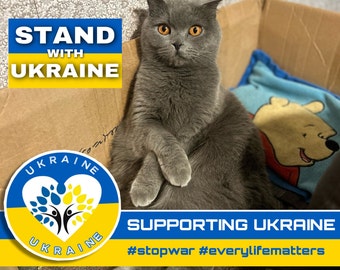United For Ukraine - StandWithUkraine - Téléchargement de fichiers numériques - Chat Olivka - Carte postale ukrainienne