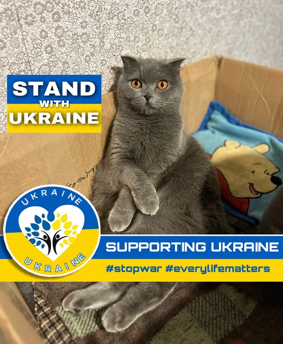 United For Ukraine - StandWithUkraine - Digital file Download - Olivka cat - Ukrainian Postcard