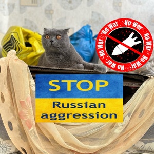 Stop Russian Aggression - Support Ukrainian Family - Ukrainian Postcard - Digital File Download - Ukrainian Cat - Instant Download Mediafile