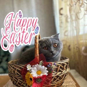 Digitale Datei herunterladen - Frohe Ostern - Ukrainische Postkarte - Stand With Ukraine