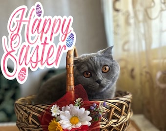 May include: A grey cat sits in a wicker basket decorated with red, white and yellow flowers. The basket has a "Happy Easter" sign on it.