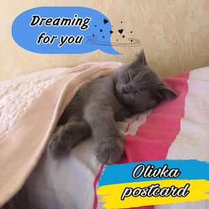 2 - Cartão postal Olivka - Download de arquivo digital - Gato de estimação fofo