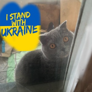 STAND WITH UKRAINE - Arquivo de download digital - Cartão postal ucraniano - Download instantâneo Mediafile - Animal de estimação ucraniano