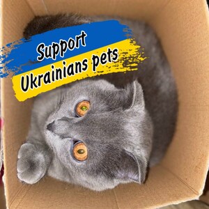 Sostieni gli animali domestici ucraini - Download di file digitali - Negozio ucraino - Prega per l'Ucraina - Arte scaricabile Ucraina - Cartoline ucraine