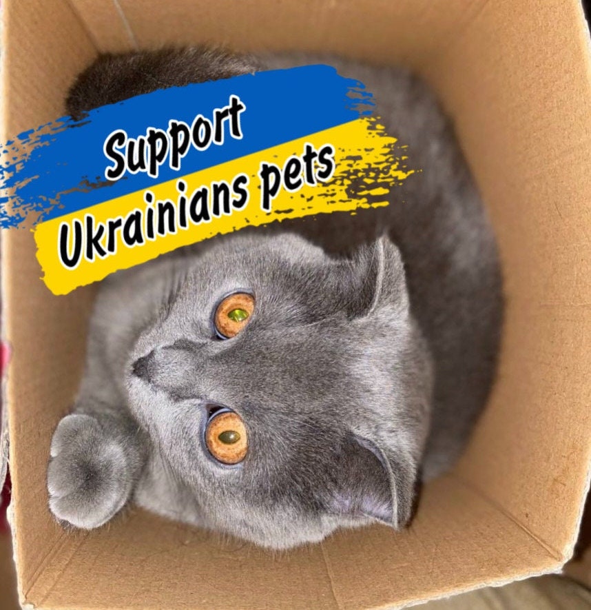 Support Ukrainian Pets Digital File Download Ukrainian Etsy UK