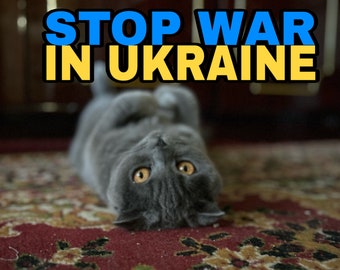 May include: A grey cat with yellow eyes lies on its back on a red, brown and gold patterned rug. The text "STOP WAR IN UKRAINE" is superimposed on the image in blue and yellow letters.