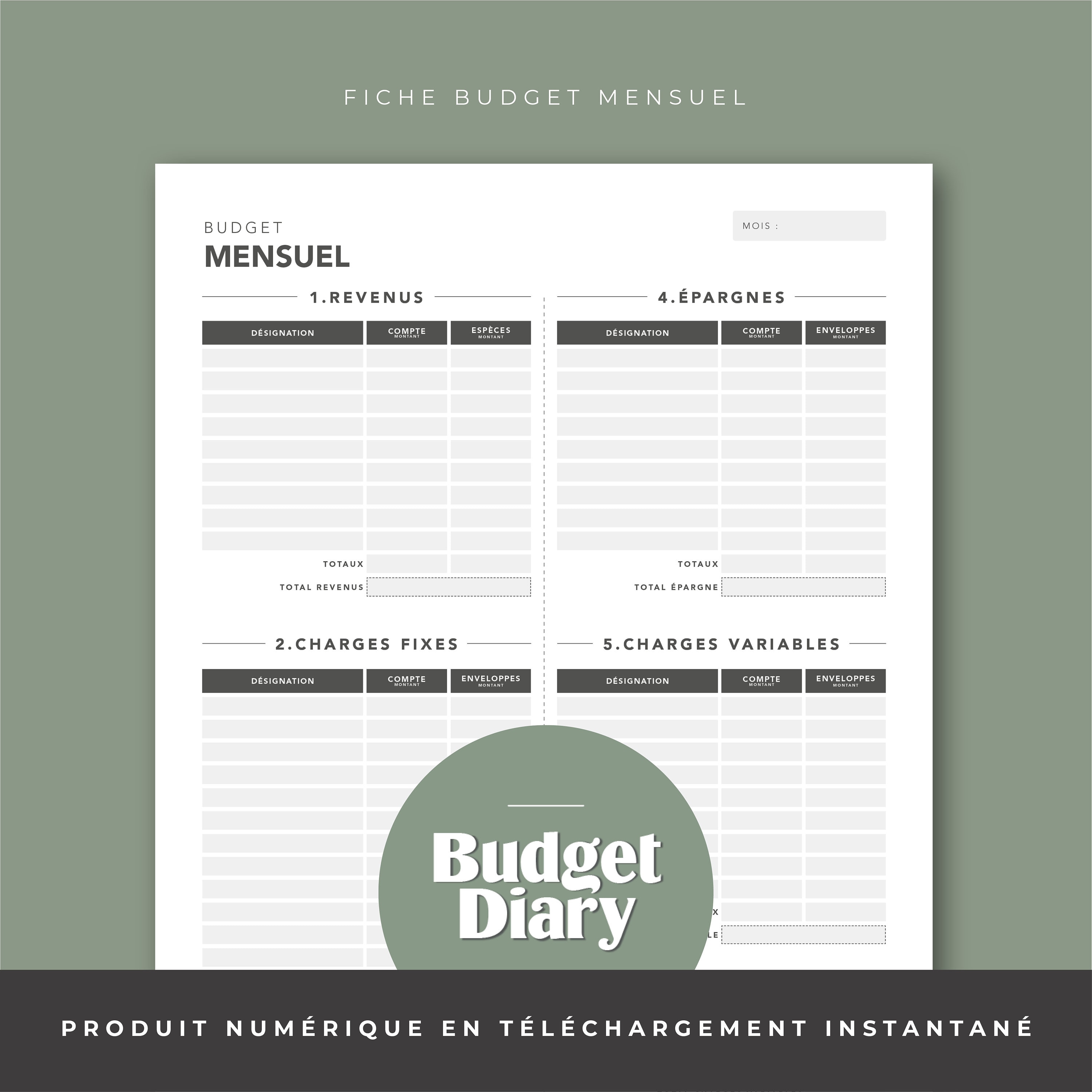 Fiche Budget mensuel À IMPRIMER Compatible enveloppes budget