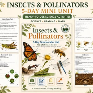 Puede incluir: Una unidad educativa de 5 días titulada Insects & Pollinators con actividades de ciencia, lectura y matemáticas. La portada muestra una mariposa monarca, una abeja, una libélula y un saltamontes, con páginas de muestra sobre anatomía, polinización, ciclos de vida y colonias de hormigas.
