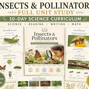 May include: A 10-day science curriculum unit study titled Insects & Pollinators for K-2 grade. The educational material includes printed cards featuring real photos of insects, life cycles, and habitats, with text covering science, reading, writing, and math.