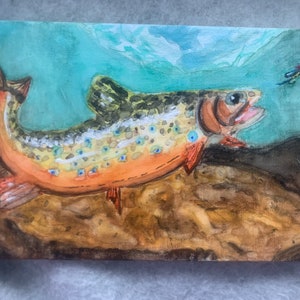Brook Trout watercolor
