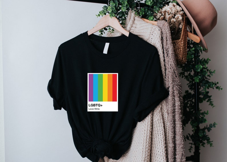 Camisa de color LGBTQ, regalo del mes del orgullo, victorias de amor, camisa de colores del arco iris, camiseta LGBTQ, mes del orgullo LGBTQ, camisa del orgullo imagen 3