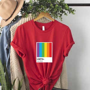 Camisa de color LGBTQ, regalo del mes del orgullo, victorias de amor, camisa de colores del arco iris, camiseta LGBTQ, mes del orgullo LGBTQ, camisa del orgullo imagen 5