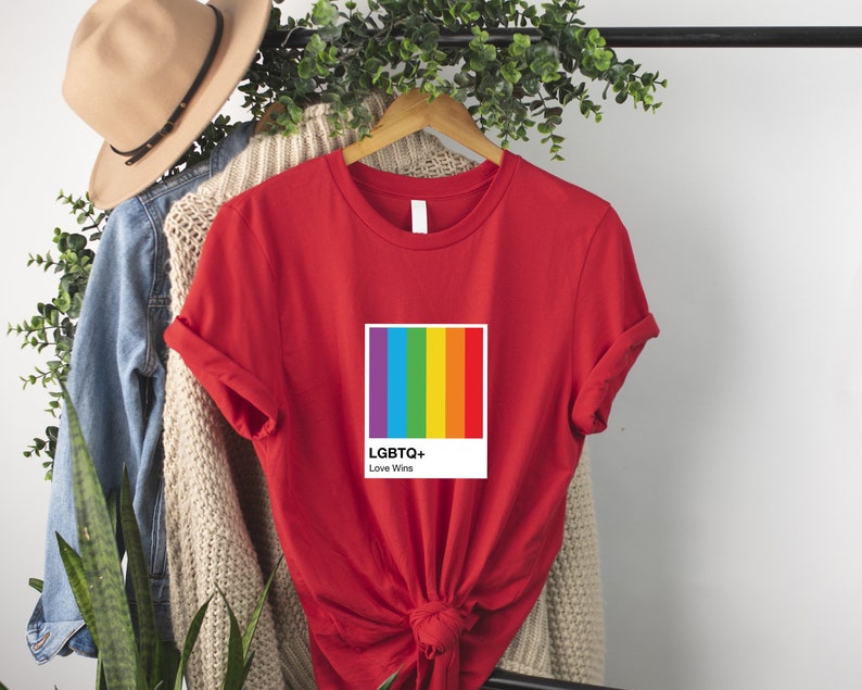 Camisa de color LGBTQ, regalo del mes del orgullo, victorias de amor, camisa de colores del arco iris, camiseta LGBTQ, mes del orgullo LGBTQ, camisa del orgullo imagen 5