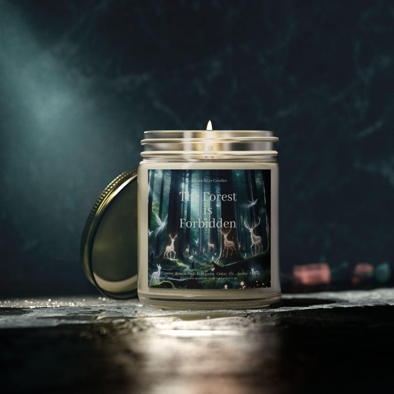 Harry Potter Inspired Candle, Holiday Gift for Book Lovers, Magical