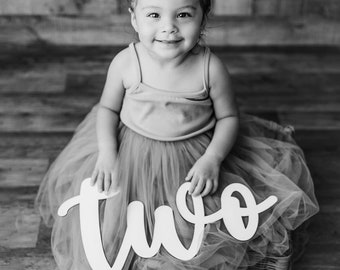 2nd Birthday Sign, Two Wood Sign, Second Birthday Photo Prop, 2nd Birthday Wood Number, Birthday Wood Sign,  2nd Birthday Photo Shoot