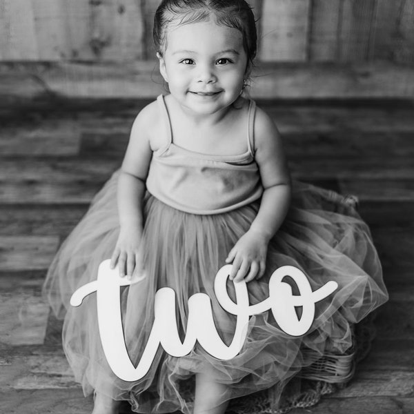 2nd Birthday Sign, Two Wood Sign, Second Birthday Photo Prop, 2nd Birthday Wood Number, Birthday Wood Sign,  2nd Birthday Photo Shoot