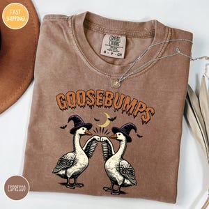 a couple of birds that are on a shirt
