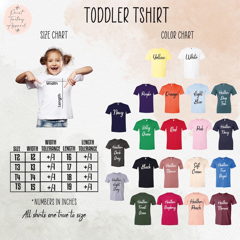 The image is a size chart and color chart for a toddler t-shirt, showing the different sizes and colors available for the t-shirt.