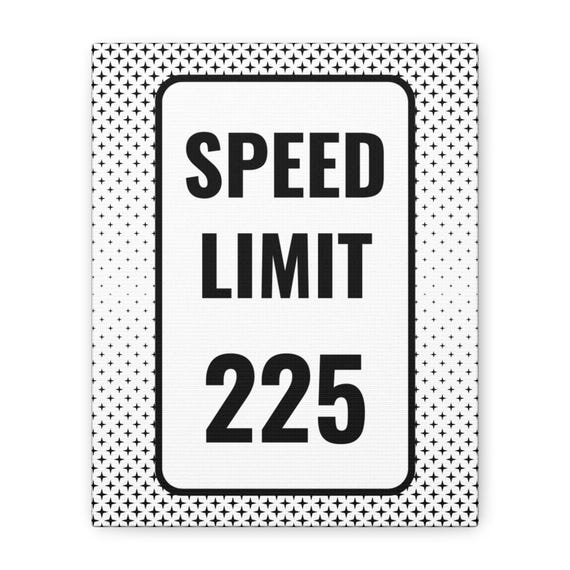 Court Reporter Speed Limit 225 Wall Canvas - Etsy