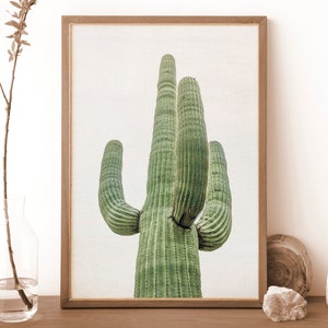 Kaktus Wand Kunst Druck Download, Fotografie Drucke digitaler Download, Wüste Druck Wandkunst, Kaktus Druck auf weißem Hintergrund herunterladbar