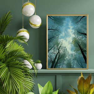 Encantadoras impresiones de arte verde salvia / Descarga instantánea / Decoración de vegetación para paredes / Fotografía digital de la naturaleza