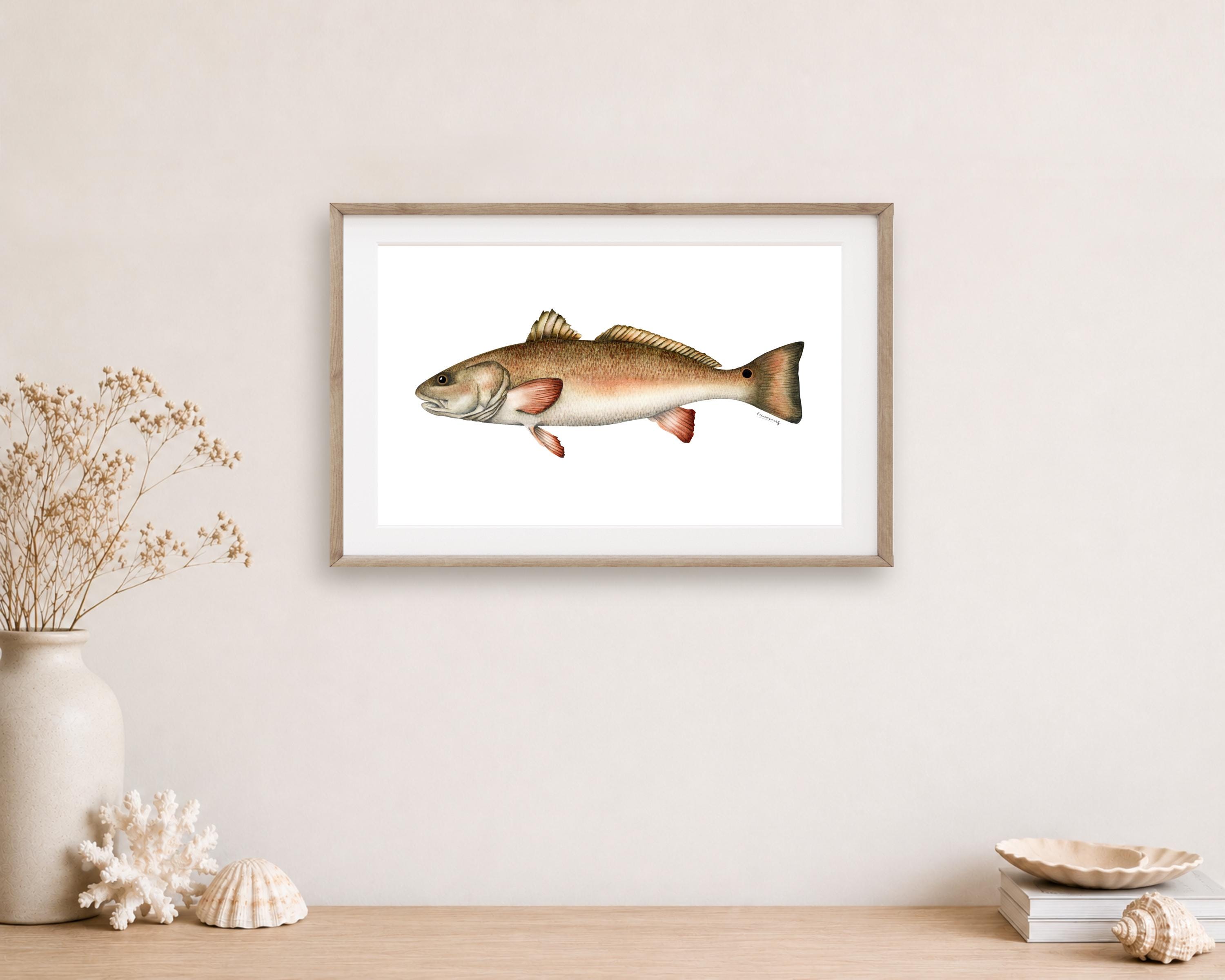 Redfish Wall Art - Etsy