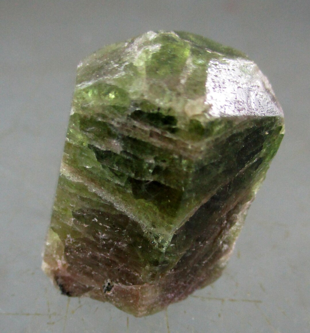 アパタイト(カナダ) Apatite Crystals | 471 Grams | Tory Hill, Ontario Canada | SO24